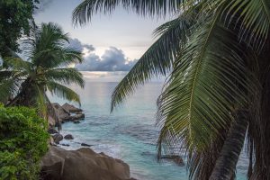 seychelles, landscape, sea - TOMER LEVI FOREX, TOMER LEVI optionXO, TOMER LEVI Wmoption, Tomer Levi PrimeCFD,